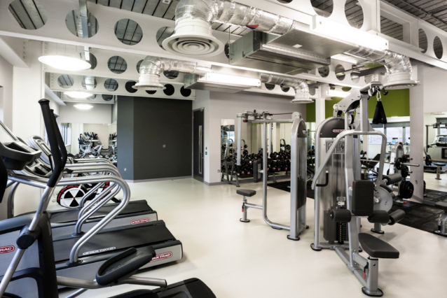 1656469531652.jpg D.jpg